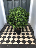 Beautiful Buxus - artificial Buxus plant