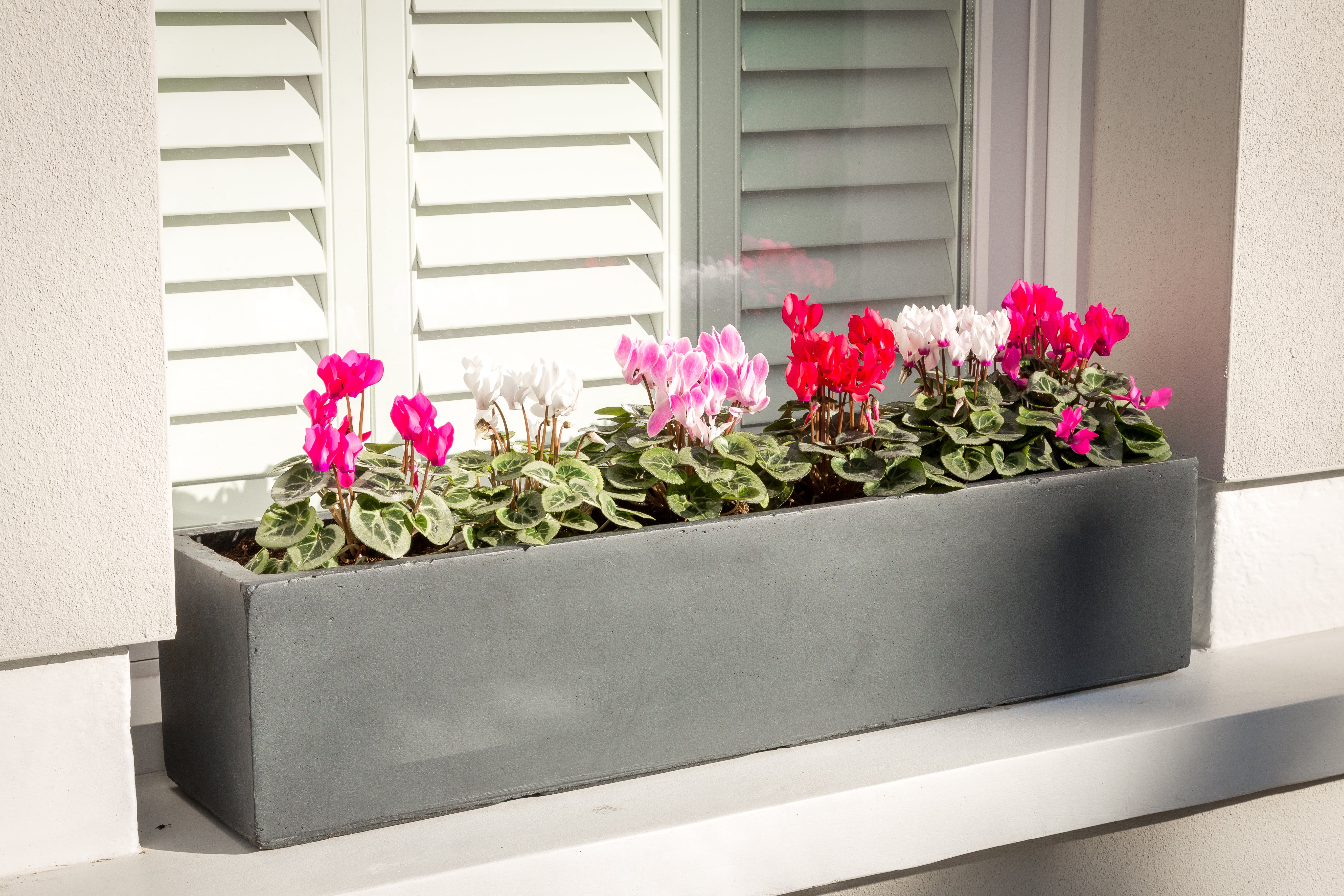grey window box planters Large window box in Hampstead Lead Grey