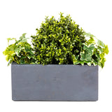 Artificial Buxus Balls planted in window box - Bay and Box