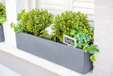 Beautiful Buxus - artificial window box