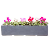 Large window box in Hampstead Lead Grey, planted with pink flowers - Bay and Box