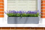 Parisian Grey - Window Boxes