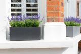 Hampstead Lead - Window Boxes