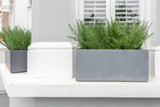 Fantastic Ferns - artificial window box