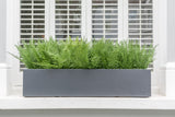 Fantastic Ferns - artificial window box