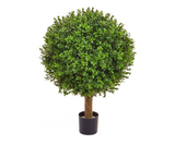 Beautiful Buxus - artificial Buxus plant