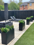 Evergreen flower bundle (excludes window box)
