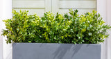 Artificial buxus hedge