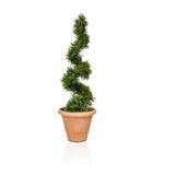 Artificial Spiral Buxus Tree in black vase