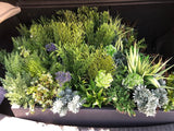 Evergreen flower bundle (excludes window box)