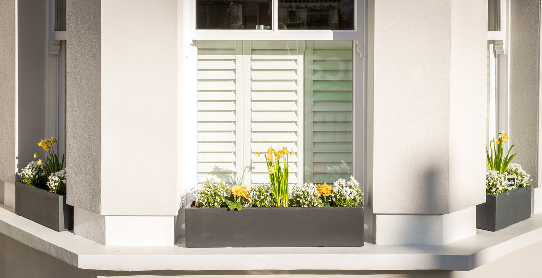 Hooray…Spring has sprung