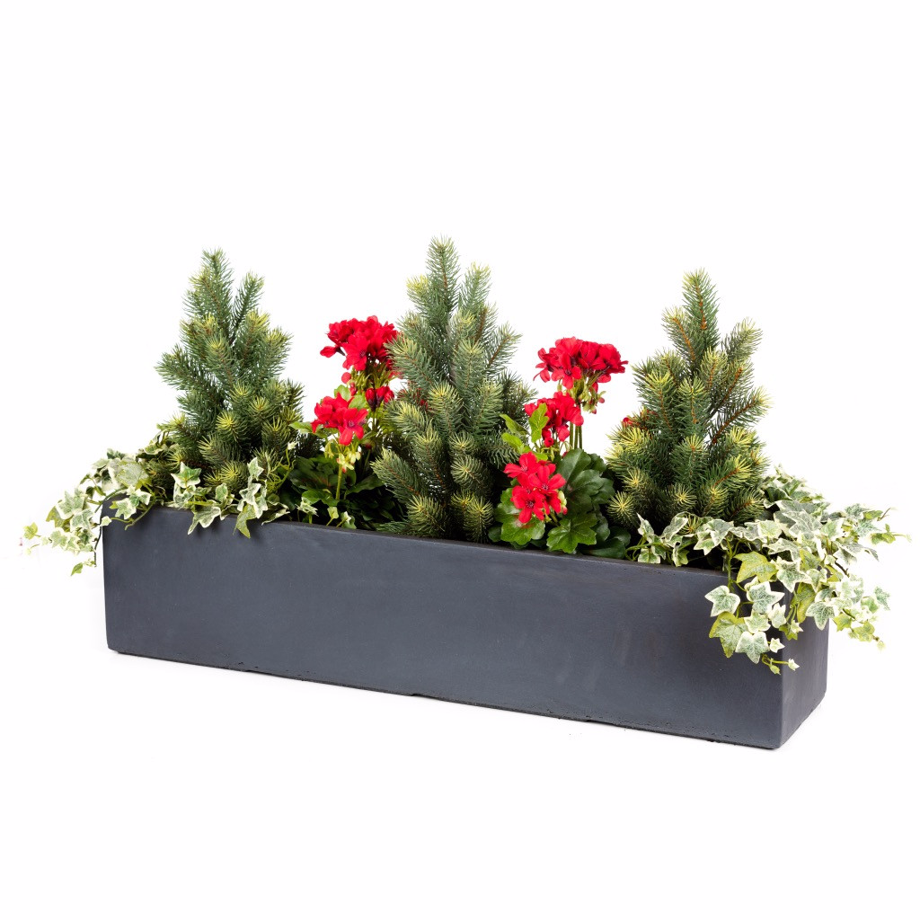 Christmas Window Box - Bay and Box