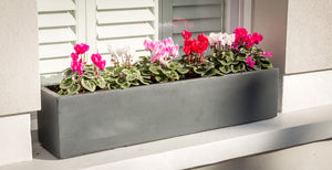 What type of compost should I use in my window box?
