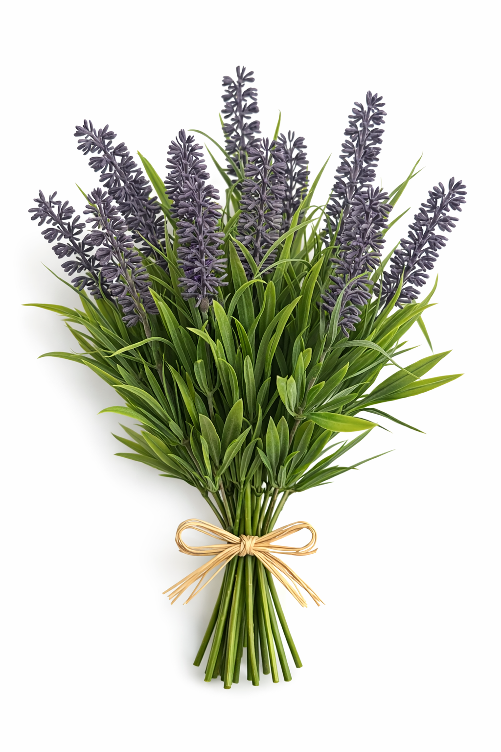 Provence