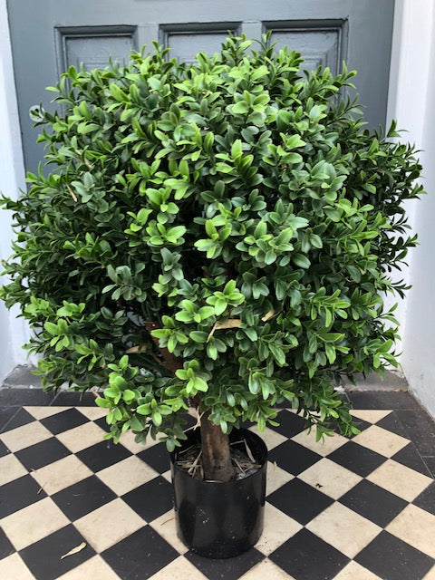 Kensington - Artificial Buxus Topiary Ball