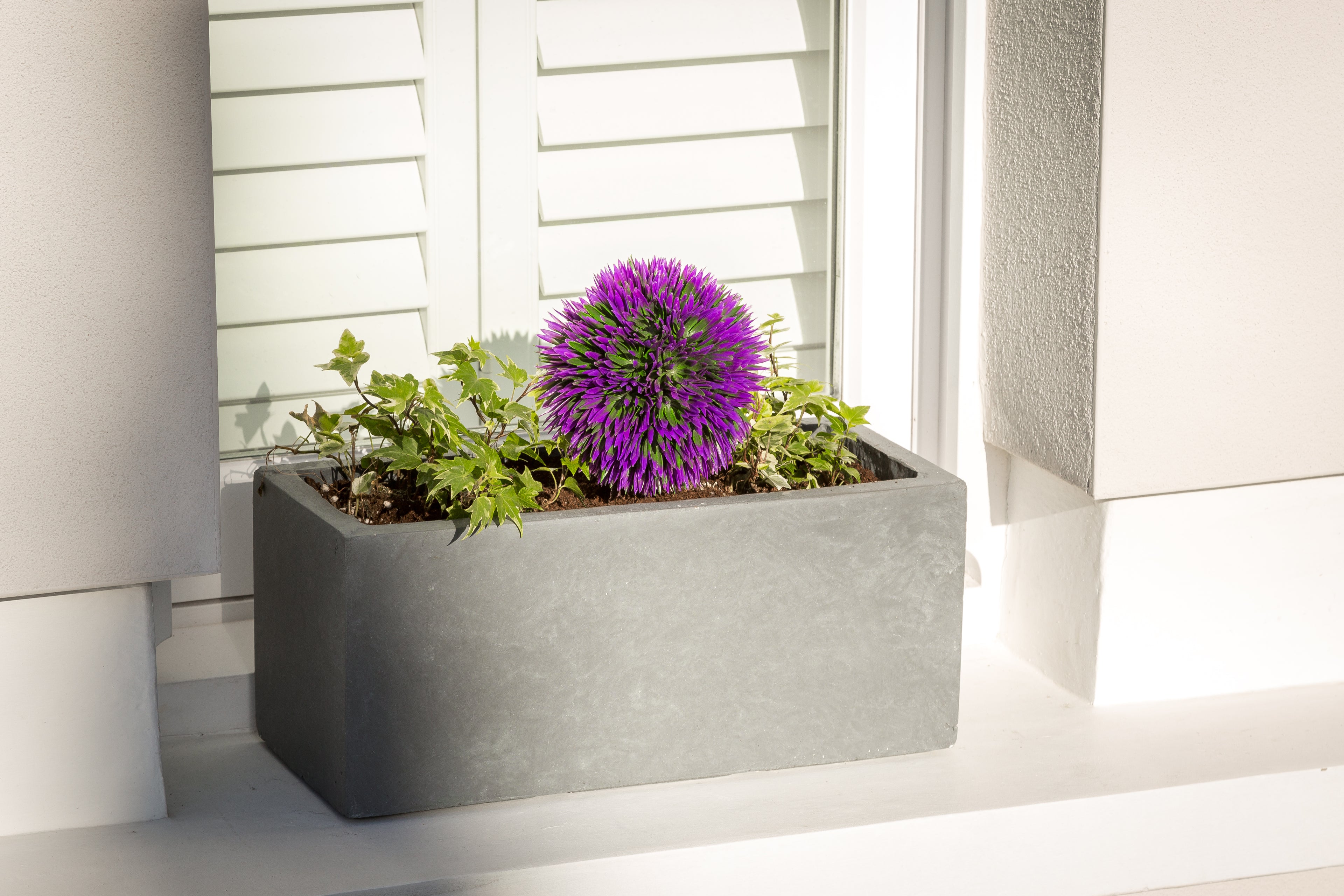 Small window box - Bay and Box