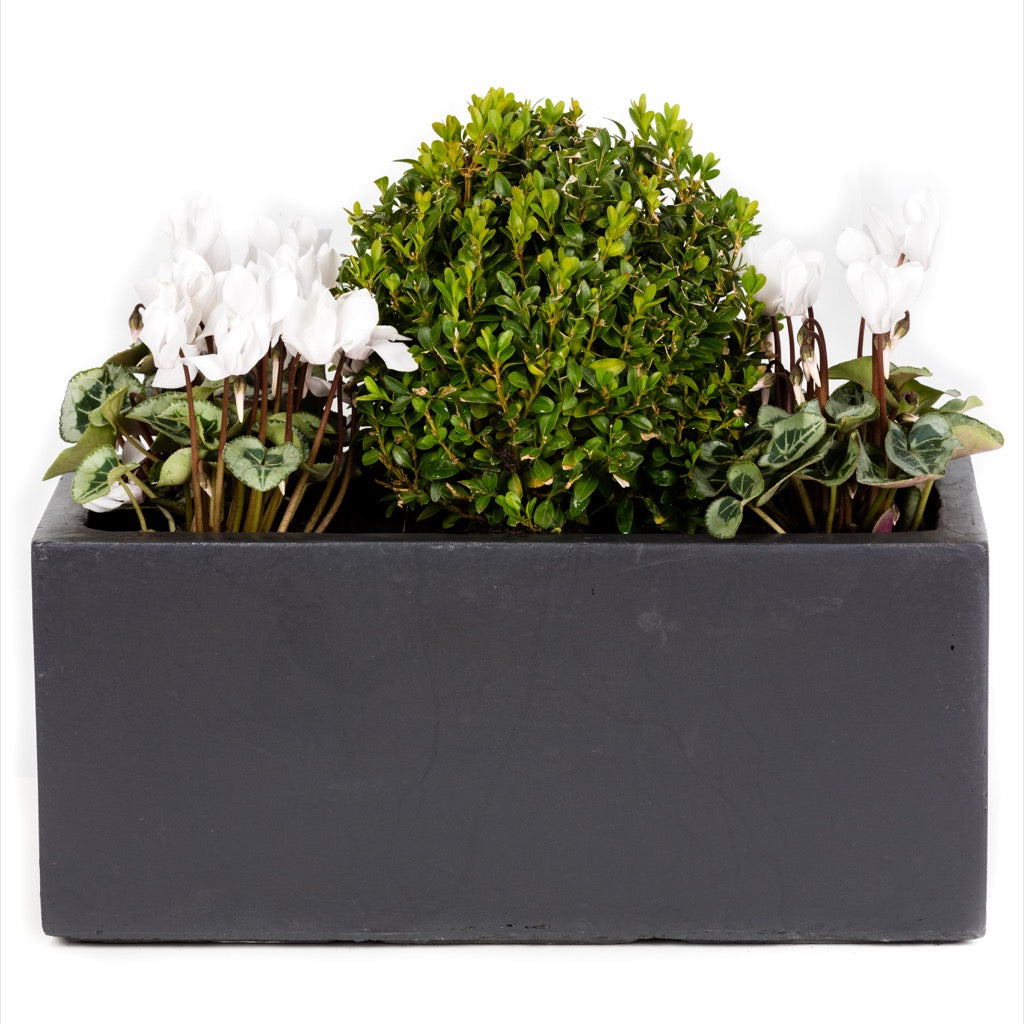 Amalfi Black - Window Boxes
