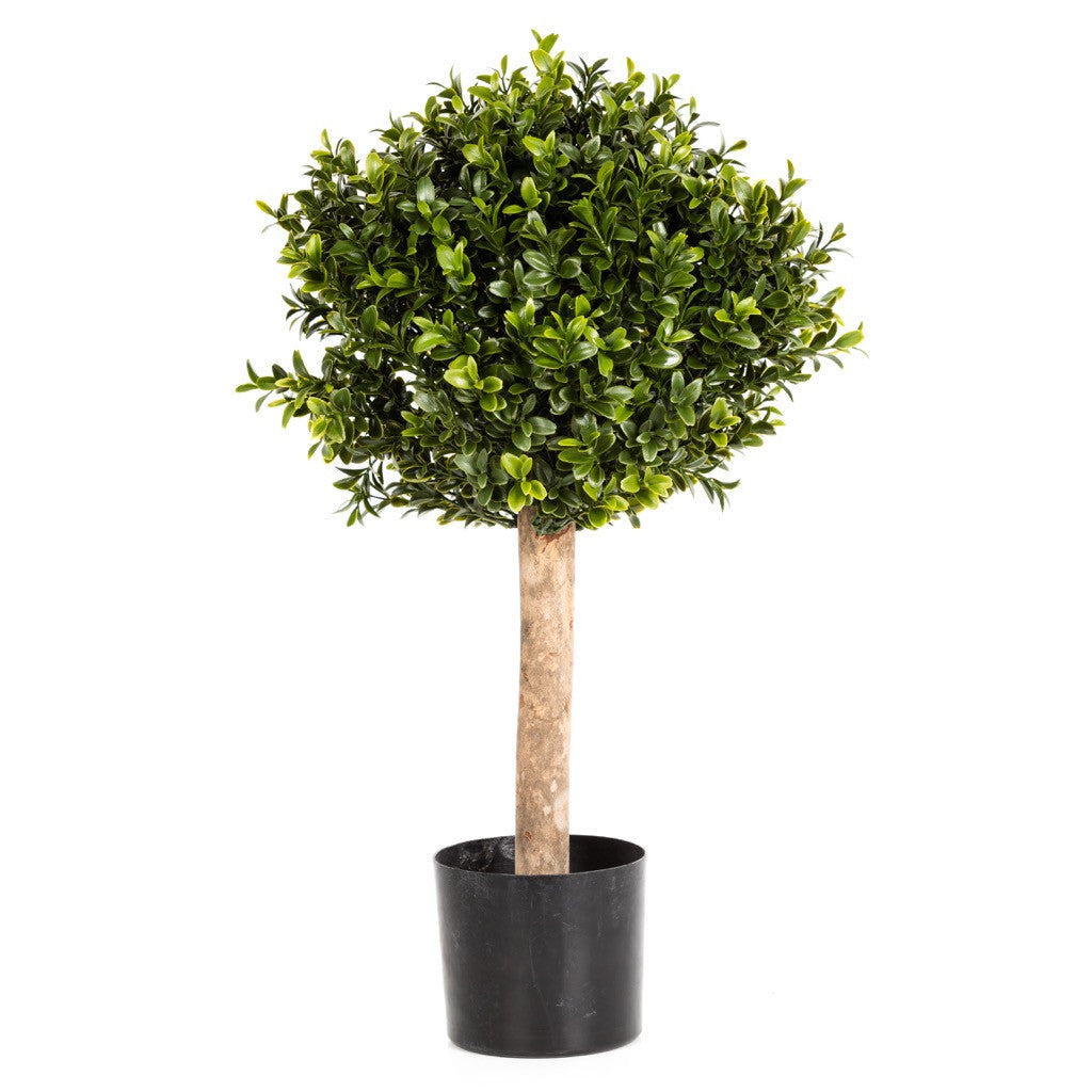 Artificial Buxus Ball - Bay and Box
