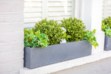 Artificial Buxus Balls planted in window box - Bay and Box