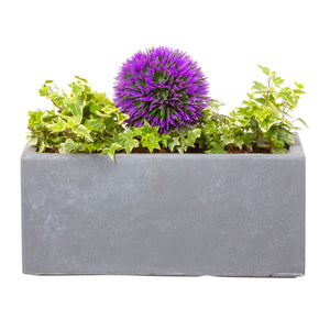 Small window box in Parisian Grey with a purple flower - Bay and Box
