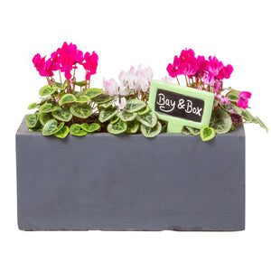 Small window box in Hampstead Lead Grey planted with pink flowers - Bay and Box