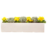 Large window box in Miami white with yellow flowers - Bay and Box
