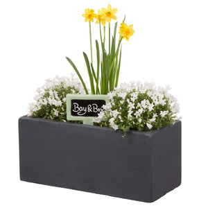 Small window box in Amalfi Black planted with spring flowers - Bay and Box