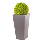 Society Vase in Amalfi Black planted with Buxus Ball - Bay and Box