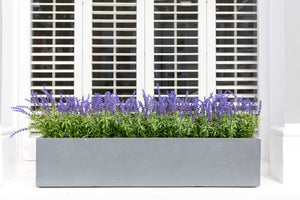 Artificial lavender window box