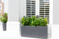 Artificial window boxes