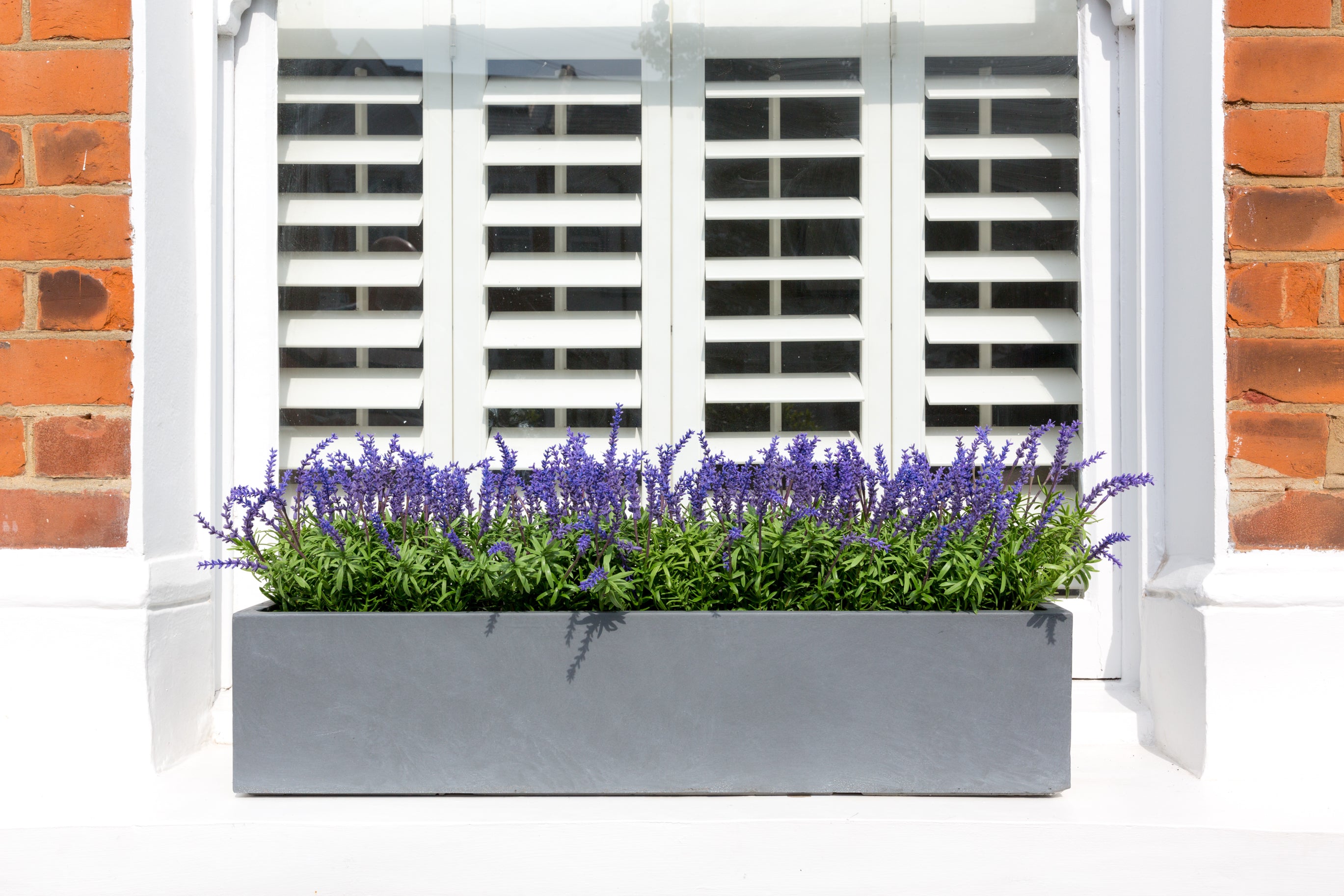 artificial lavender window box