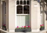 Bay and Box window boxes