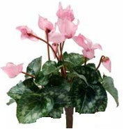 Cyclamen artificial plant - Pink