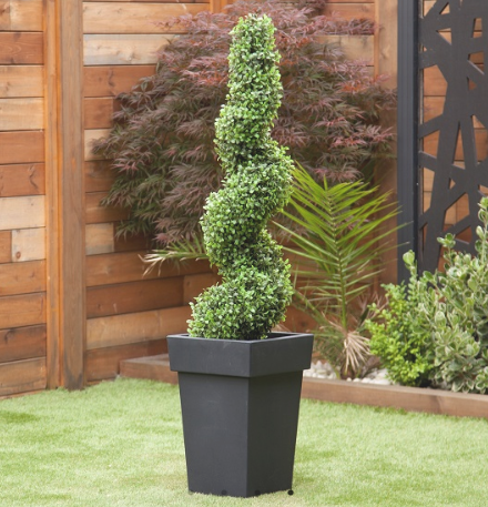 Artificial Spiral Buxus Tree in black vase Bay and Box