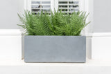 Fantastic Ferns - artificial window box