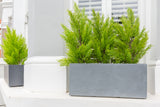 Perfect Pines - artificial window box
