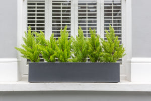 Perfect Pines - artificial window box