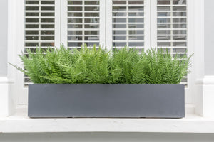 Fantastic Ferns - artificial window box