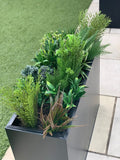 Evergreen flower bundle (excludes window box)